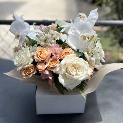 White orchids and peach roses arranged in a box