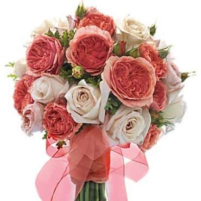 Hand-tied bouquet of peach and cream roses with flowing pink ribbon around exposed stems