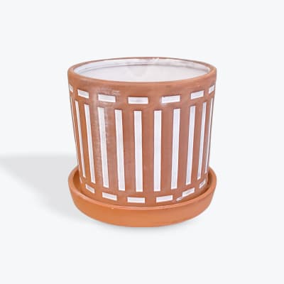 Terracotta plant pot with a matching saucer
