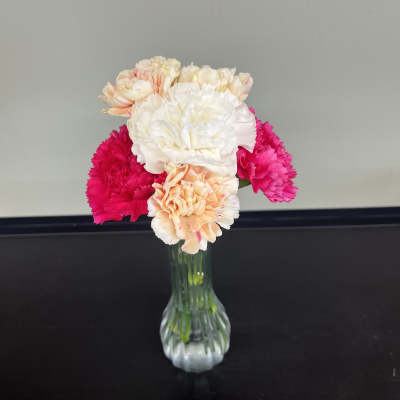 Pink and white carnations in a clear glass vase