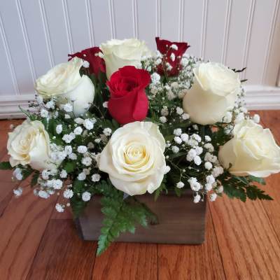 9 White and 3 Red Rose's