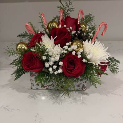 Golden Crimson Holiday Delight