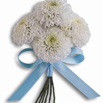 White chrysanthemum boutonniere with a light blue ribbon bow