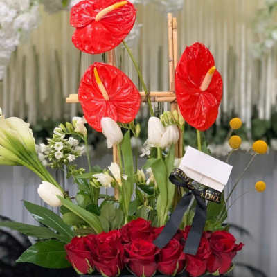 Red Anthurium Box Medium