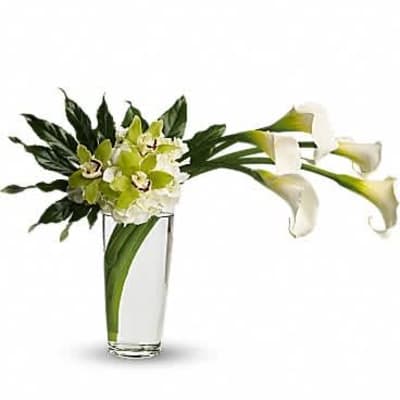 Modern arrangement of green orchids and white calla lilies in a tall clear glass vase
