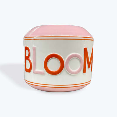 Pink and white ceramic container with the word BLOOM