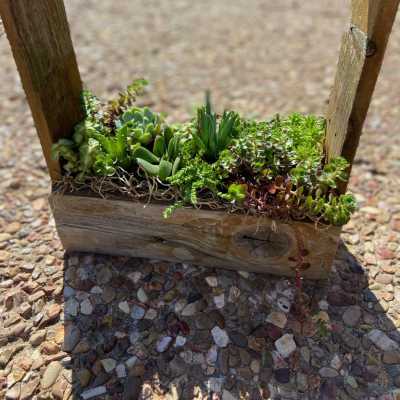 Wooden planter box filled with assorted succulents