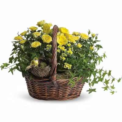 Yellow flowers in a wicker basket with a small bird nest decoration