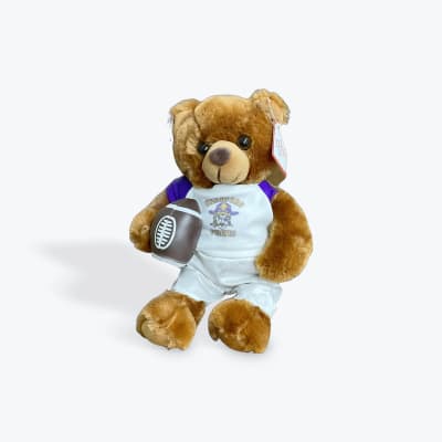 Brown teddy bear holding a football and wearing a sports outfit