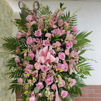 Compassion Spray by Manny