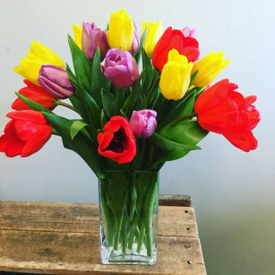 Bouquet of red, yellow, and purple tulips in a clear glass vase