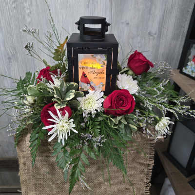 Cardinal Sympathy Lantern