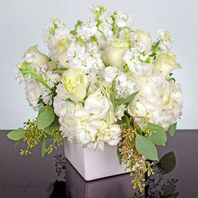 White roses and hydrangeas in a square white vase