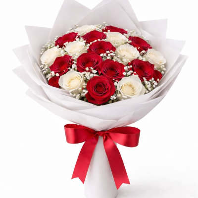 Bouquet of red and white roses wrapped in white paper with a red ribbon