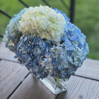 Blue and white hydrangea bouquet in a clear glass vase