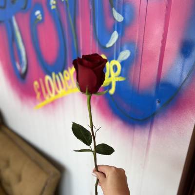 Single red rose held by hand in front of a colorful wall