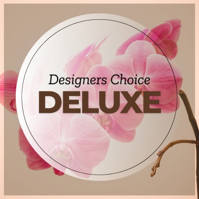 Pink orchid blooms with the words Designers Choice Deluxe