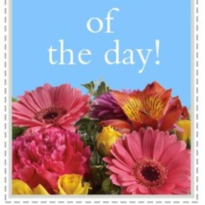 Blue card with pink scissors and flowers at the bottom, reading "deal of the day!"