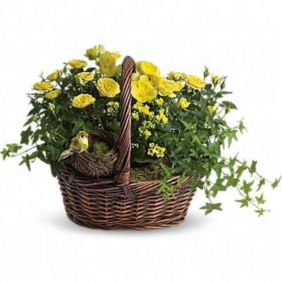 Yellow flowers in a wicker basket with a bird nest decoration