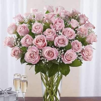 Ultimate Elegance Pink Roses