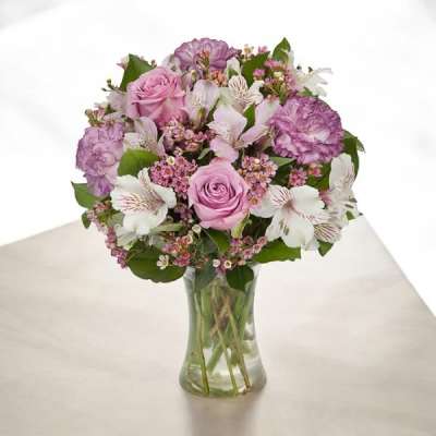 Lavender & White Brilliance