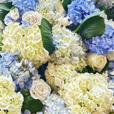 Clustered arrangement of blue and white hydrangeas mixed with ivory roses