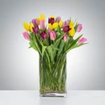 Tulip Mania by BloomNation™