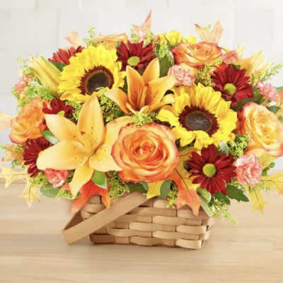 Fields of Europe for Fall Basket
