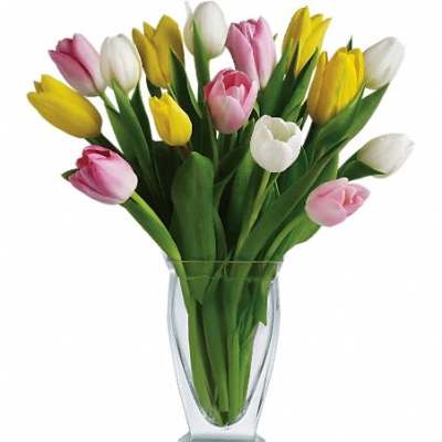 Teleflora's Tulip Treasure