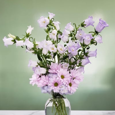 Lavender bellflowers and pink daisies in a clear glass vase