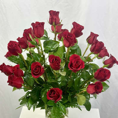 Two Dozen Roses