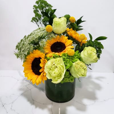 Sunflowers and pale green roses in a dark vase