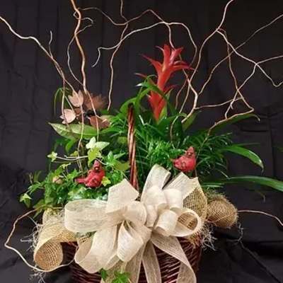 Tropical plant arrangement with red blooms and a large cream bow