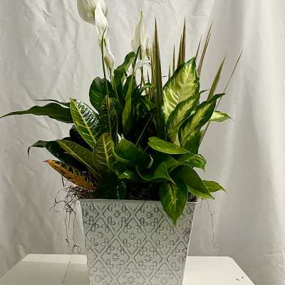 Large metal Garden Dish