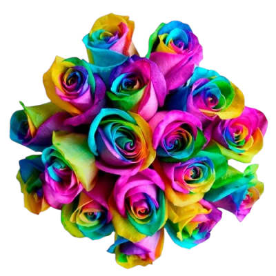 Bouquet of rainbow-colored roses on a white background