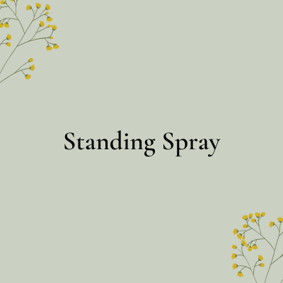 Text reading "Standing Spray" on a pale green background with small yellow floral corners.