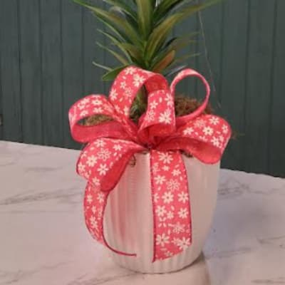 Peaceful Easter Lily