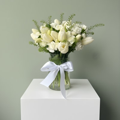 Pure White Tulip Elegance