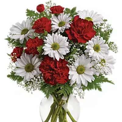 Red carnations and white daisies in a clear glass vase