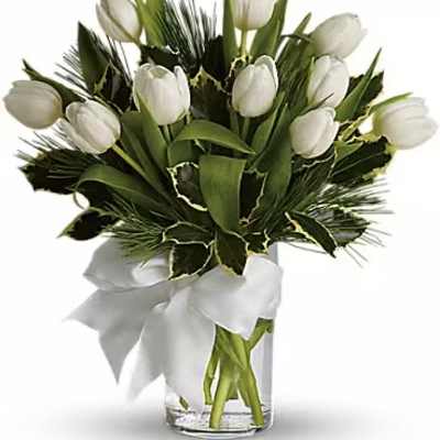 White tulips arranged in a clear glass vase with a white ribbon