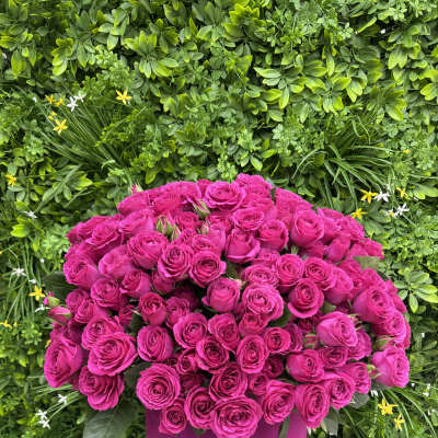 Large bouquet of hot pink roses in a magenta hatbox