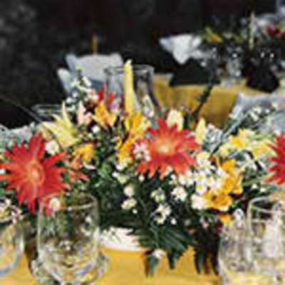 Johnnie Carson's Choice