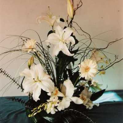 Dance With Me in The Moonlight