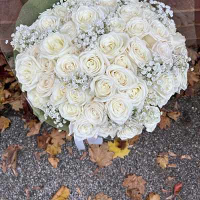 Three dozen of white roses