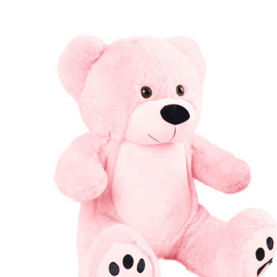 Pink teddy bear plush toy on a white background