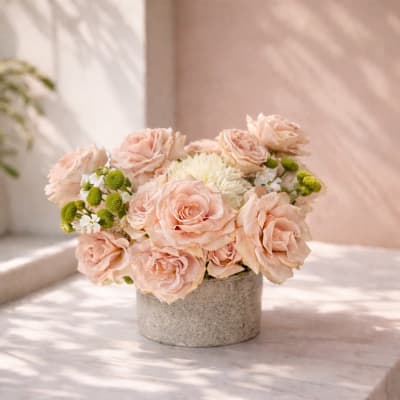 Elegant Quicksand roses in soft blush-beige color