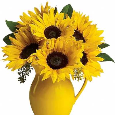 Sunflower bouquet in a yellow pitcher vase