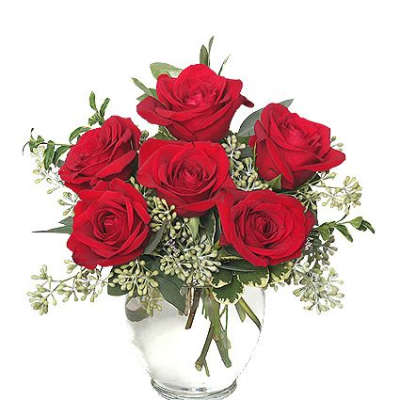 Modern Half Dozen Roses in red