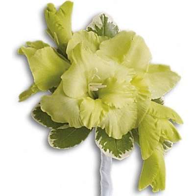 Green boutonniere with pale blooms and white ribbon wrap