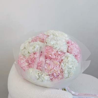 Round bouquet of pink and white hydrangeas wrapped in translucent paper